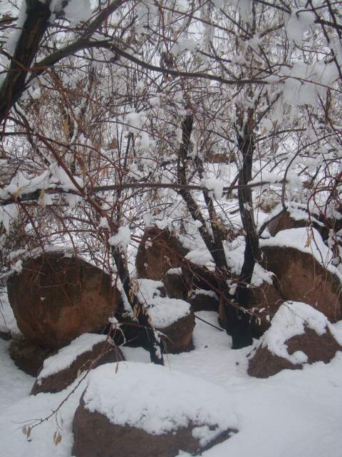 برف  زمستان  نزدیک بهار